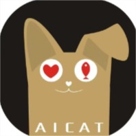 爱尔猫