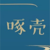 啄壳art