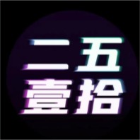 二五壹拾